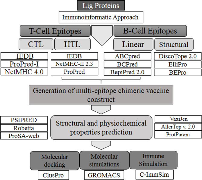 Figure 1