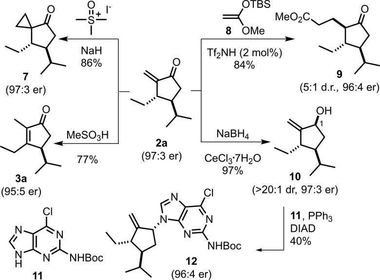 Scheme 2