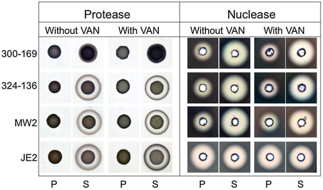 Figure 4.