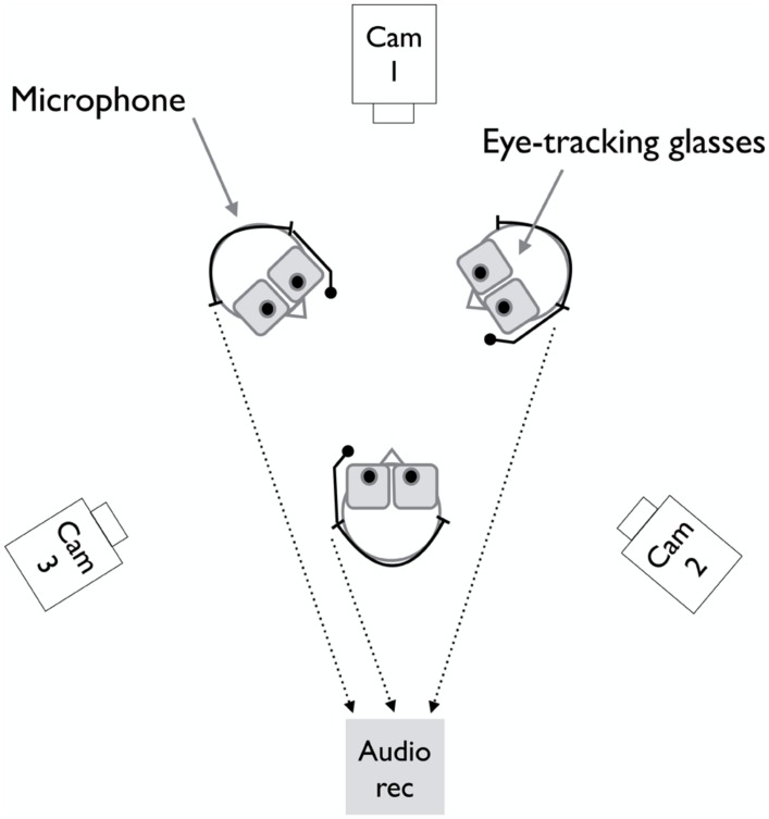 FIGURE 1