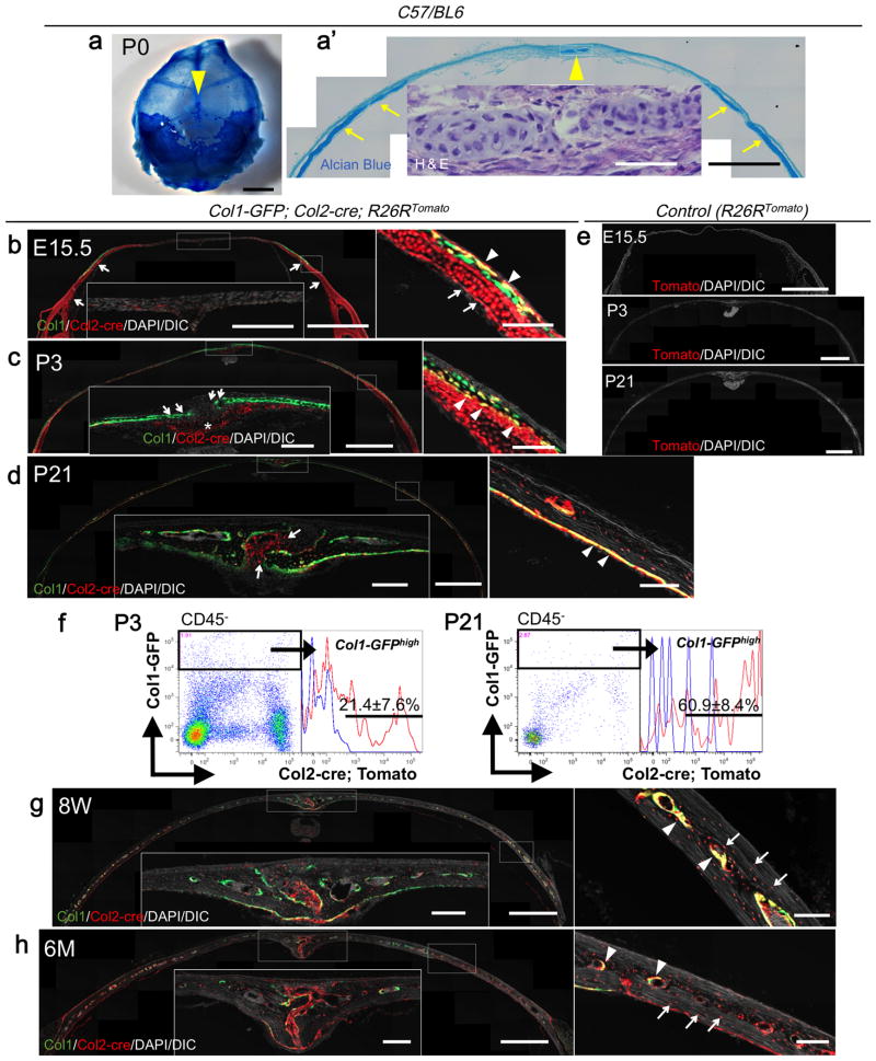 Fig.2