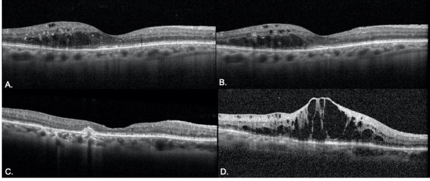 Fig 5