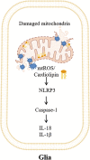 Fig. 2