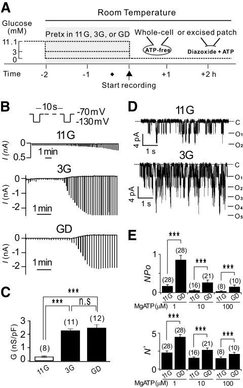 FIG. 1.