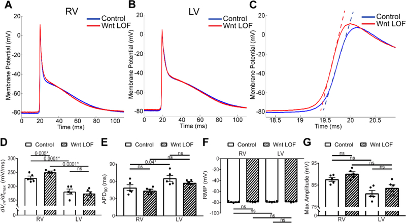 Figure 5 –