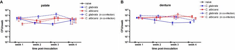 FIG 1