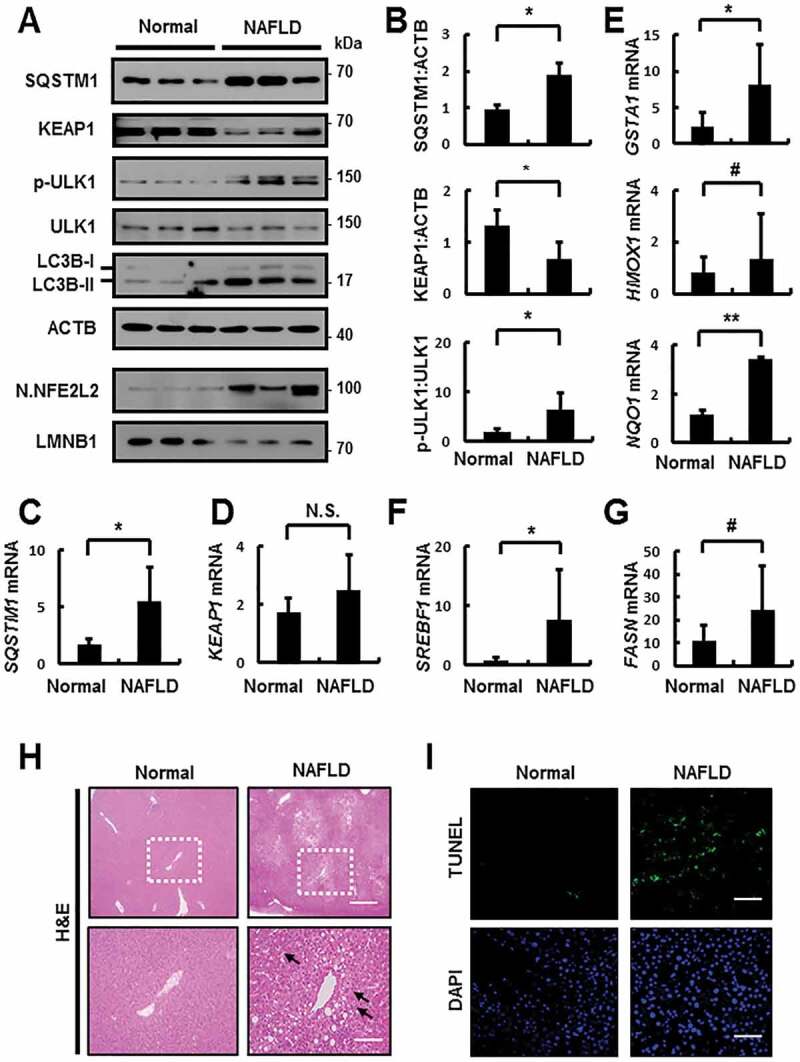 Figure 14.