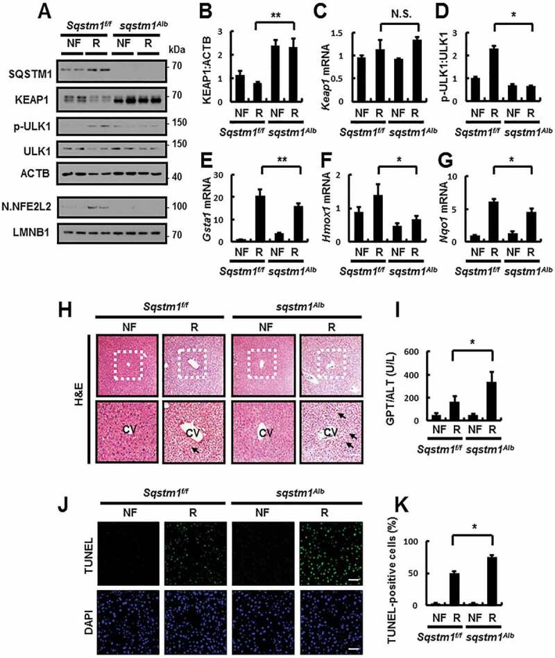 Figure 12.