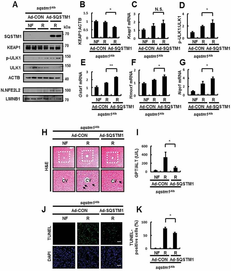 Figure 13.