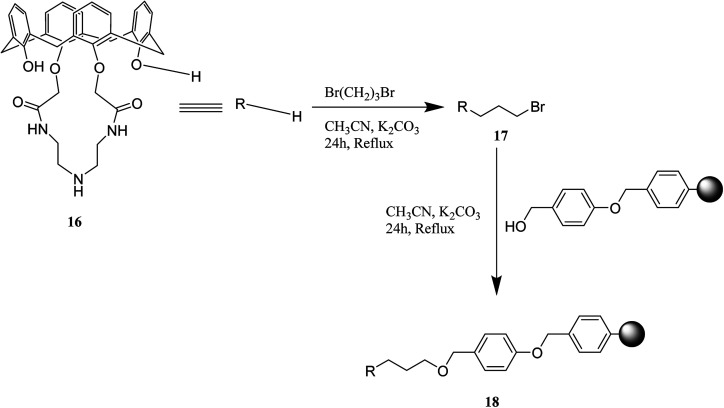 Scheme 5