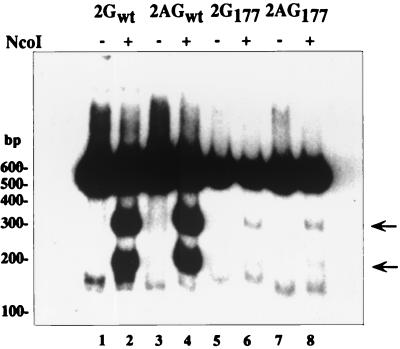 FIG. 7