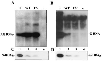 FIG. 5