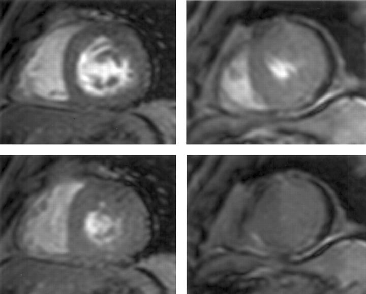 Figure 4  