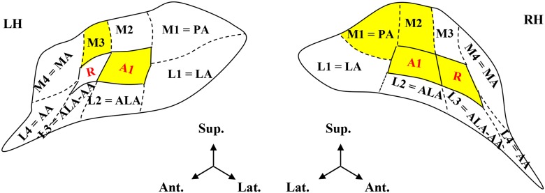 Fig 6