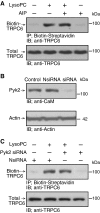 Fig. S6.