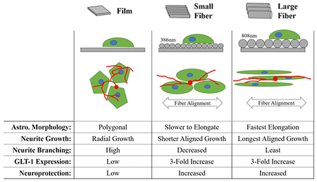 graphic file with name nihms-1018406-f0001.jpg