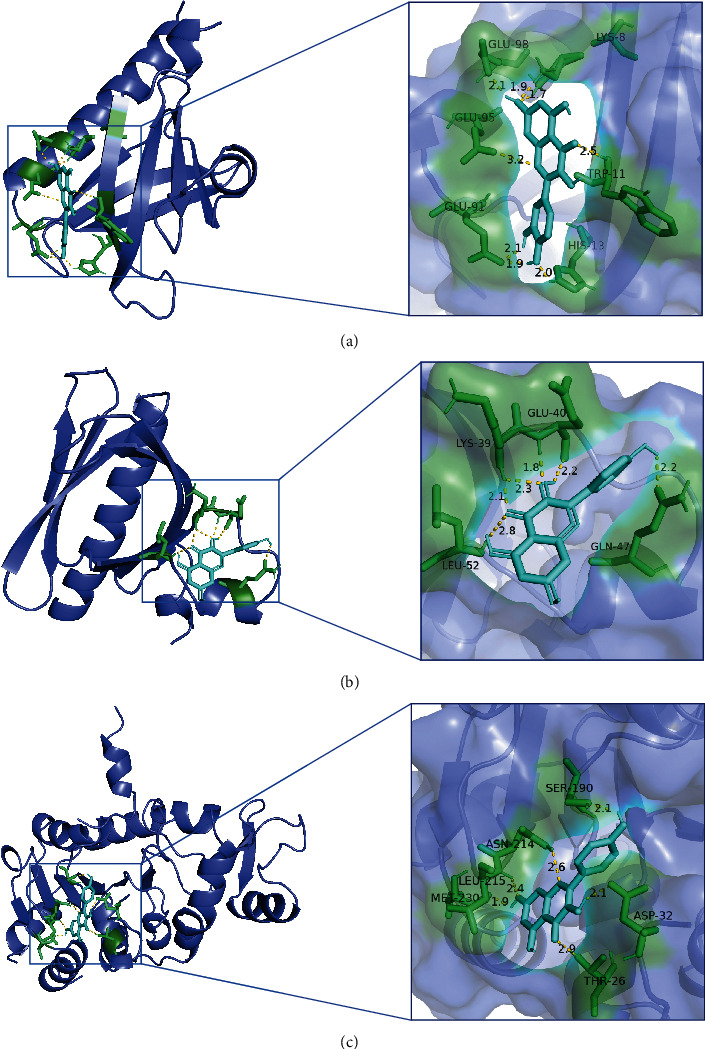 Figure 7