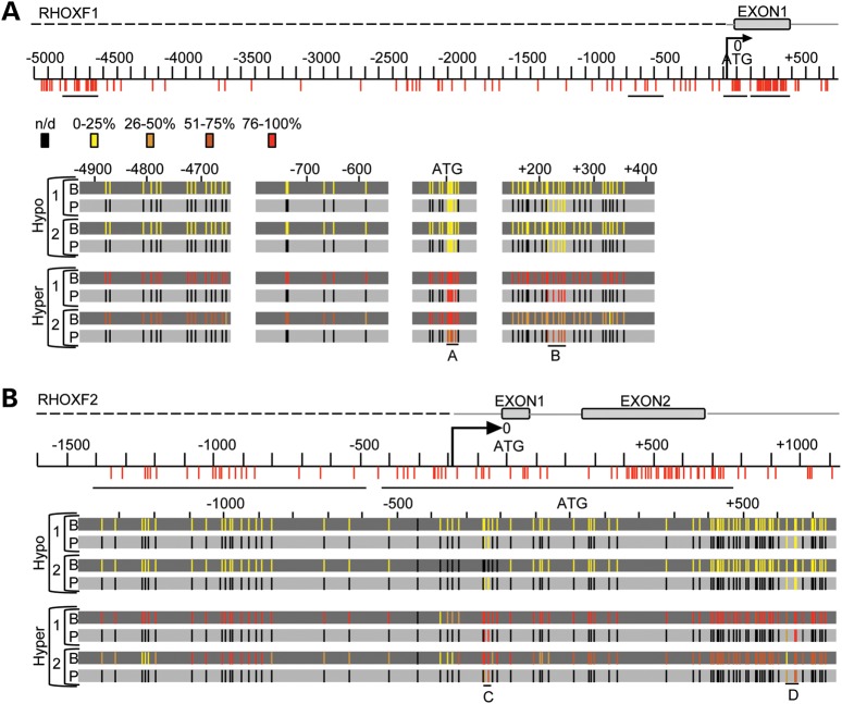 Figure 4.