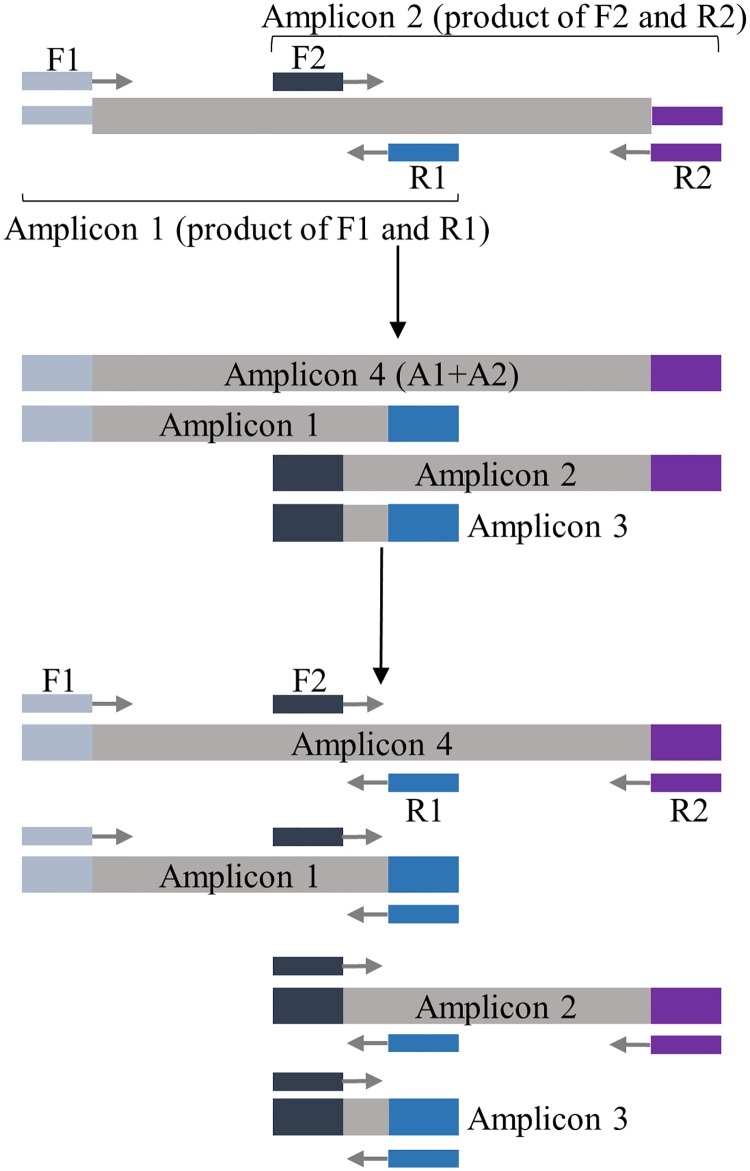 Fig 1