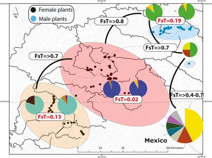 FIGURE 2