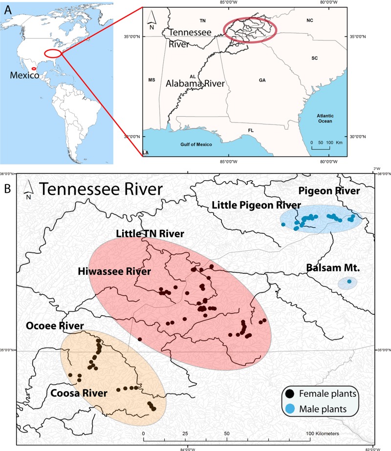 FIGURE 1