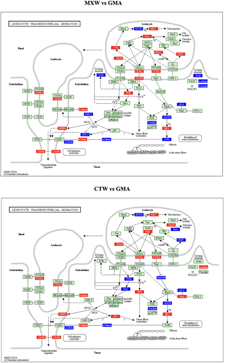 FIGURE 2