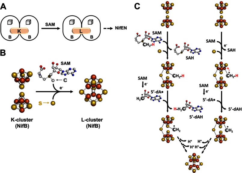 FIGURE 2.