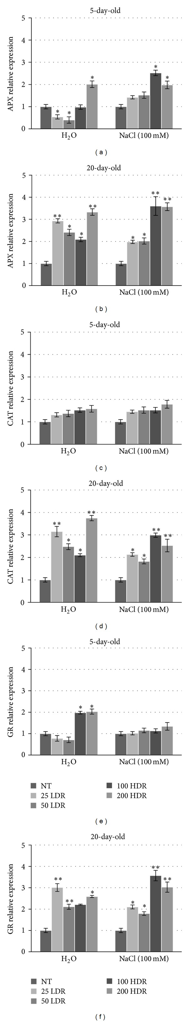 Figure 5