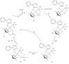 Scheme 3