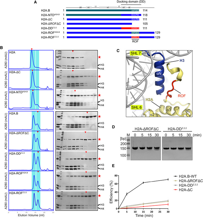 Figure 5