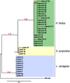Fig 5