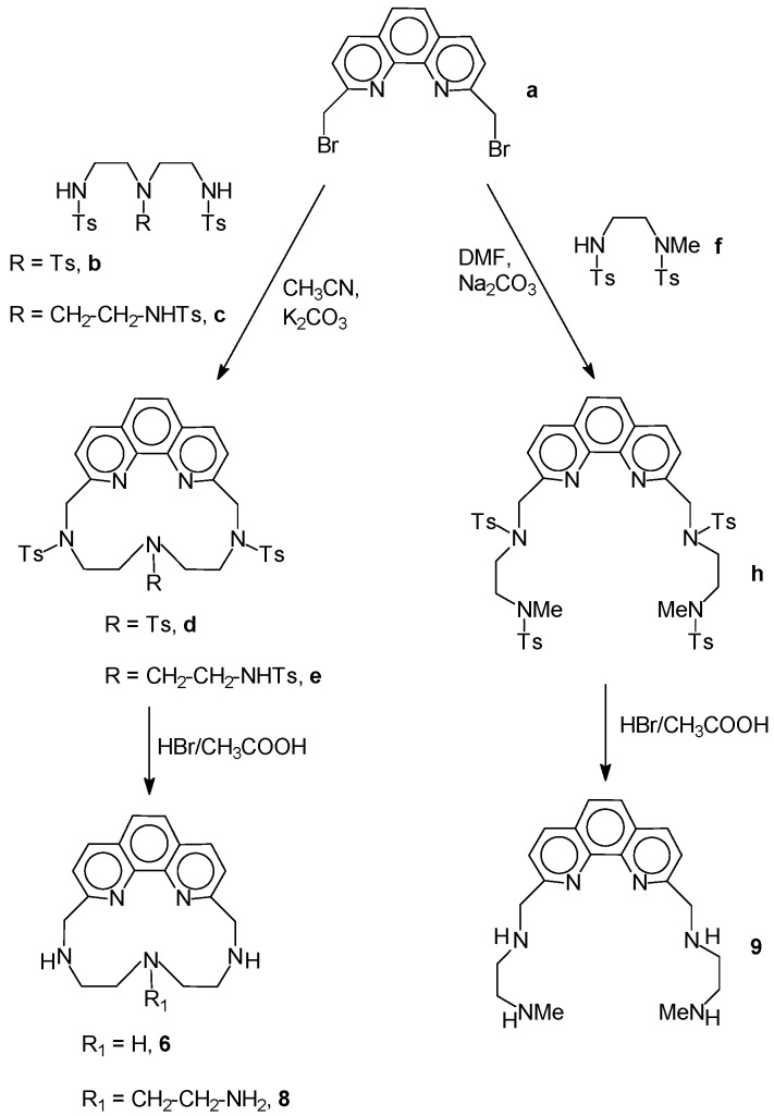 Scheme 1