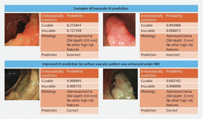 Fig. 2 