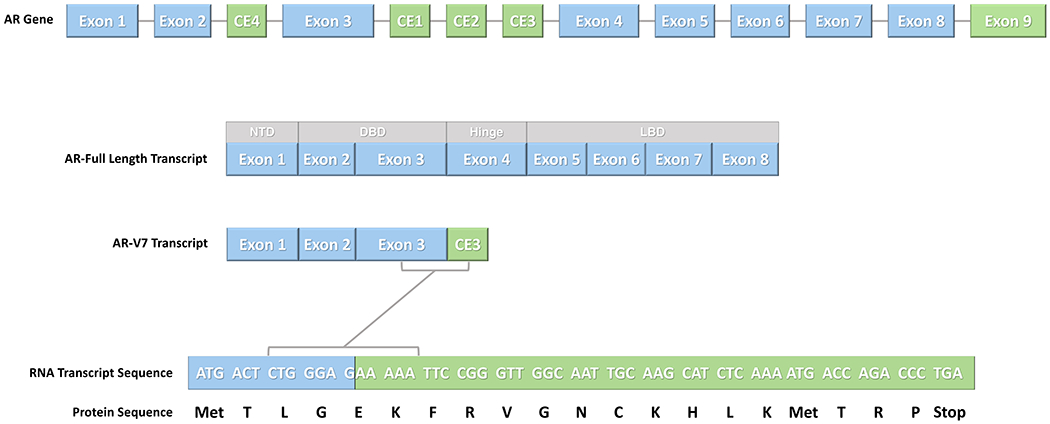 Figure 1: