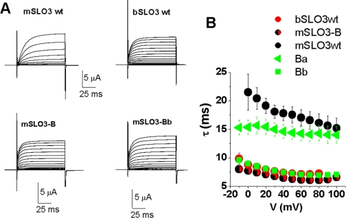 FIGURE 7.