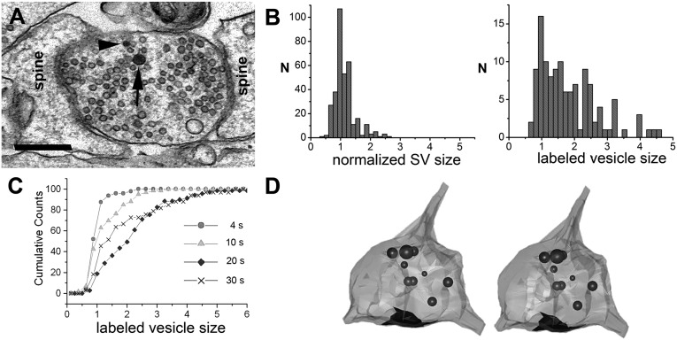 Fig. 3.