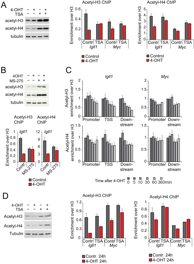 Figure 5—figure supplement 1.