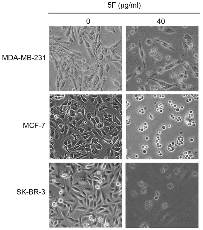 Figure 2.