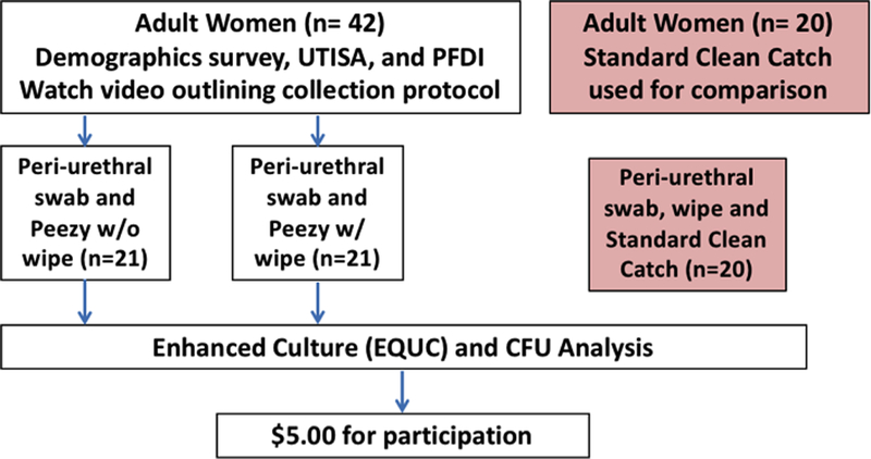 Figure 1: