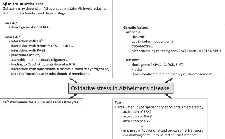 Fig.1