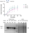 Figure 3—figure supplement 2.