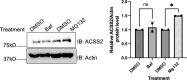 Figure 2—figure supplement 6.