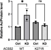 Figure 2—figure supplement 7.