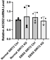 Figure 2—figure supplement 5.