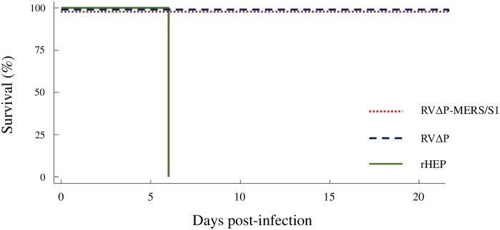 Fig 5