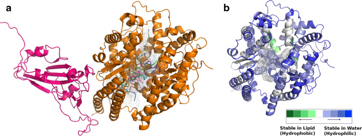 Fig. 11