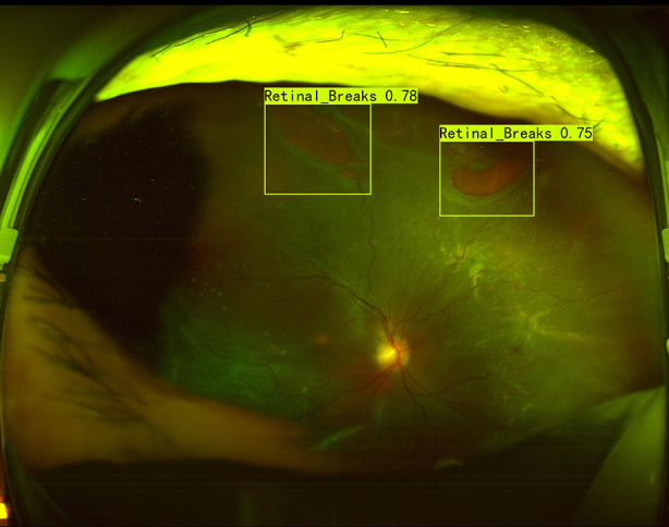 Fig. 4
