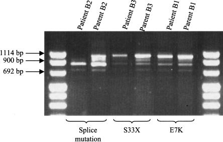 Figure  4