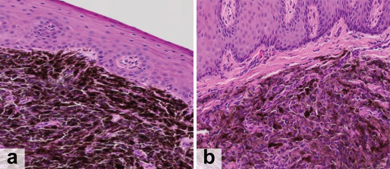 Fig. 6