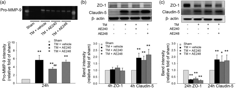 Figure 5.